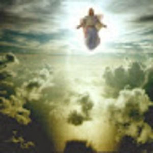 Meet your Posher, Roxi mae